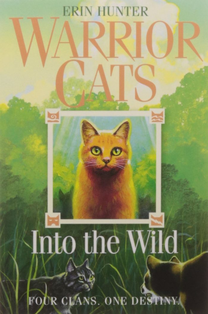 Warrior Cats Into the Wild Warrior Cats Into the Wild