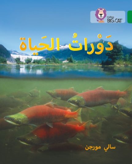 Collins Big Cat Arabic Readers - Life Cycles: Level 15