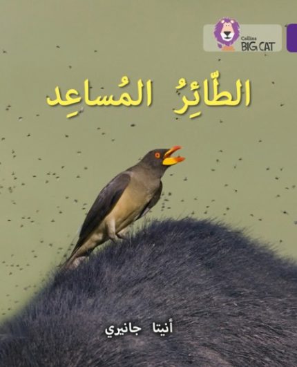 Collins Big Cat Arabic Readers - The Helper Bird: Level 8