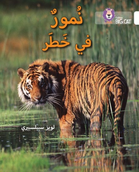 Collins Big Cat Arabic Readers - Tigers in Danger Level 10