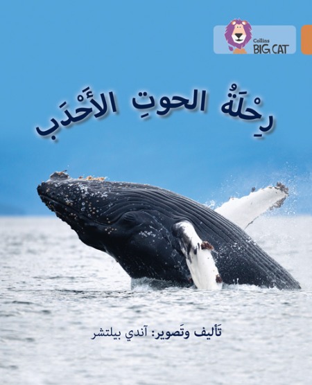 Collins Big Cat Arabic Readers - Journey of Humpback Whales Level:12
