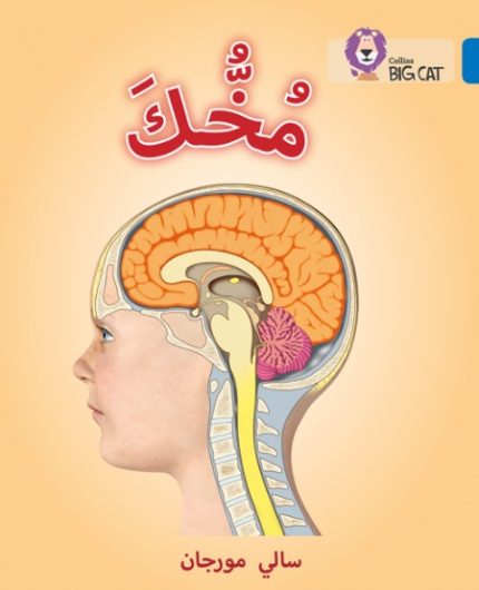 Collins Big Cat Arabic Readers - Your Brain: Level 16