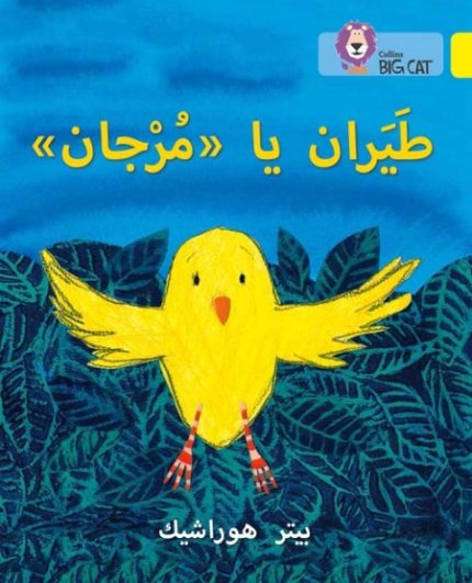 Collins Big Cat Arabic Readers - Fly, Murjan!: Level 3