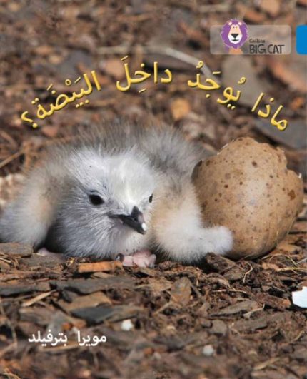 Collins Big Cat Arabic - What's in the Egg?: Level 4