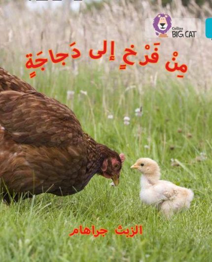 Collins Big Cat Arabic Readers - Chick to Hen: Level 7