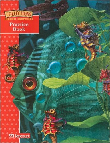 Collections Practice Book Hidden Surprises