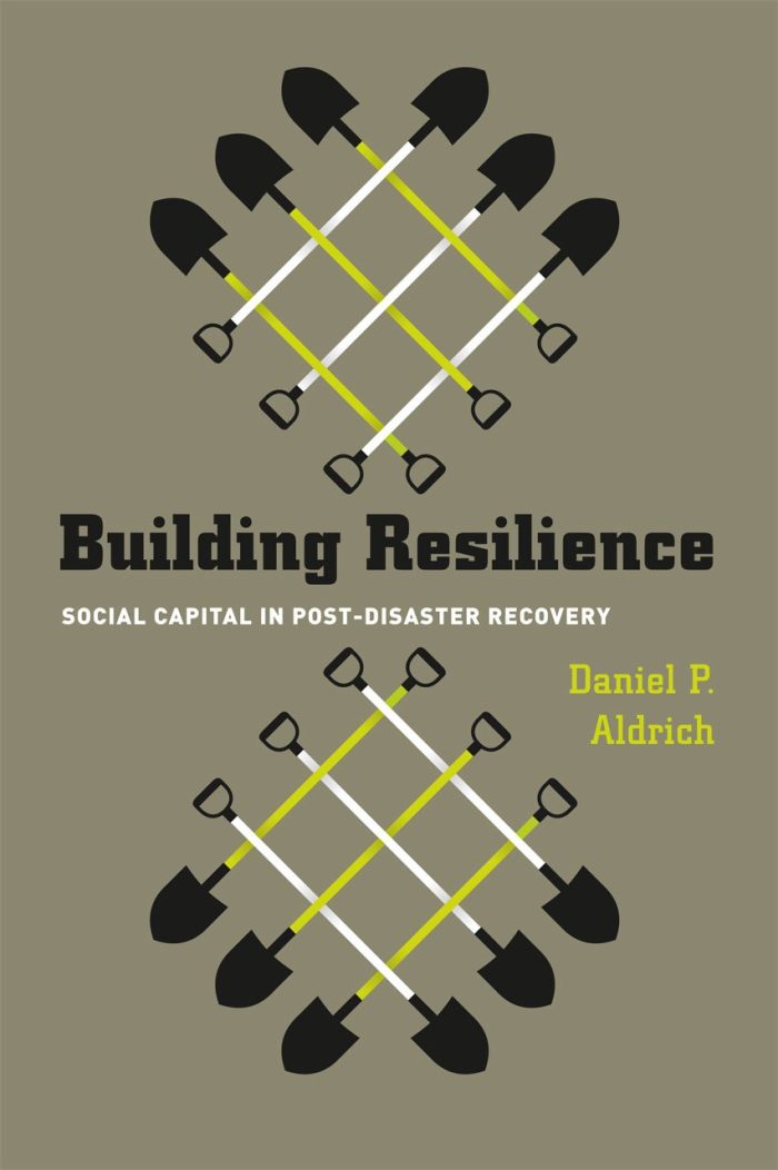 Building Resilience: Social Capital in Post-Disaster Recovery Building Resilience: Social Capital in Post-Disaster Recovery