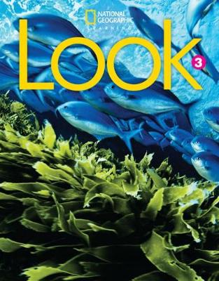 Look 3 Workbook with Online Practice