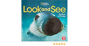 Look and See 3 Big Book Anthology British Edition