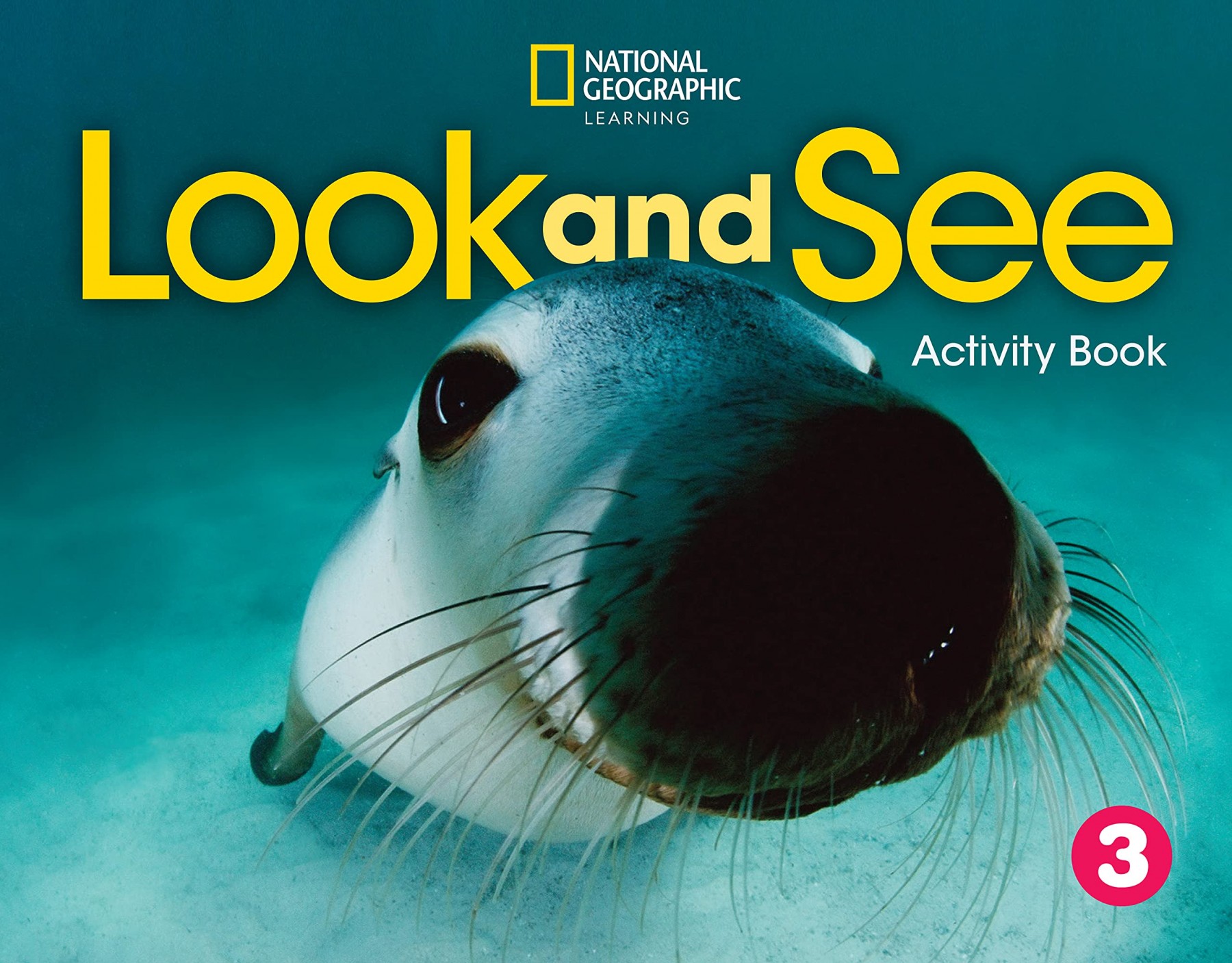 Look and See 3 Activity Book British Edition
