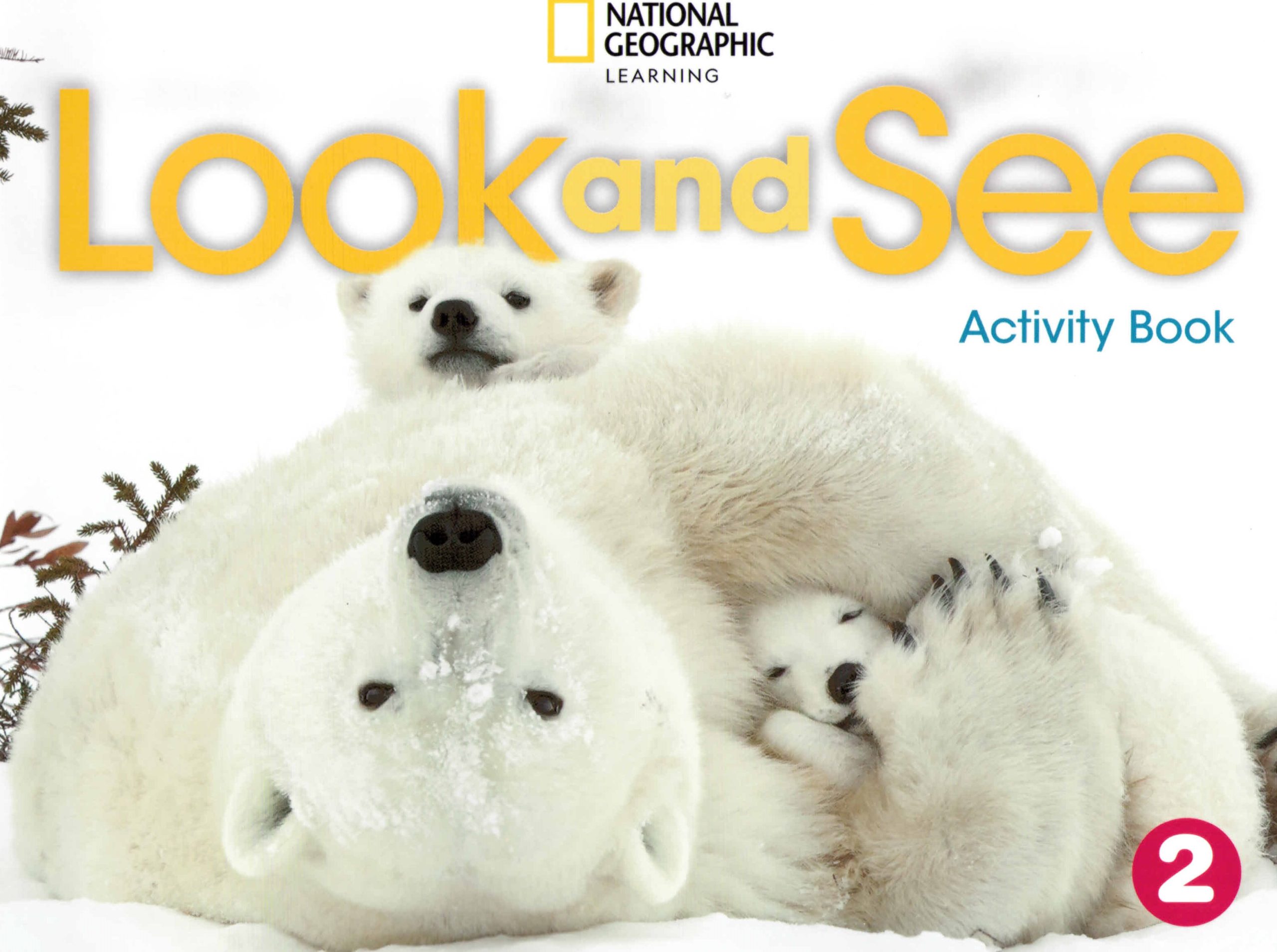Look and See 2 Activity Book British Edition