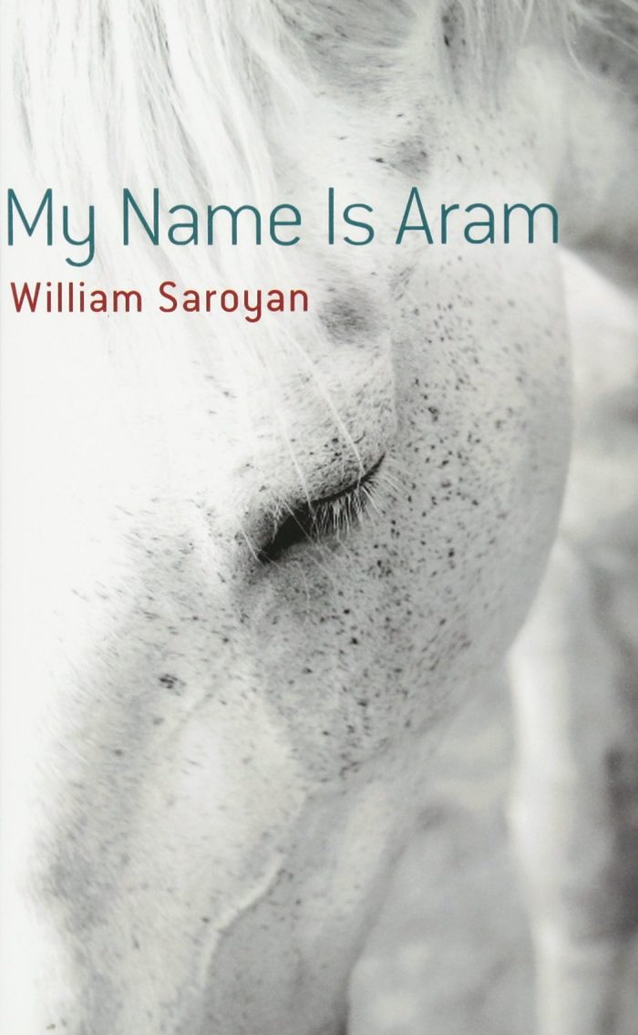 My name is Aram My name is Aram