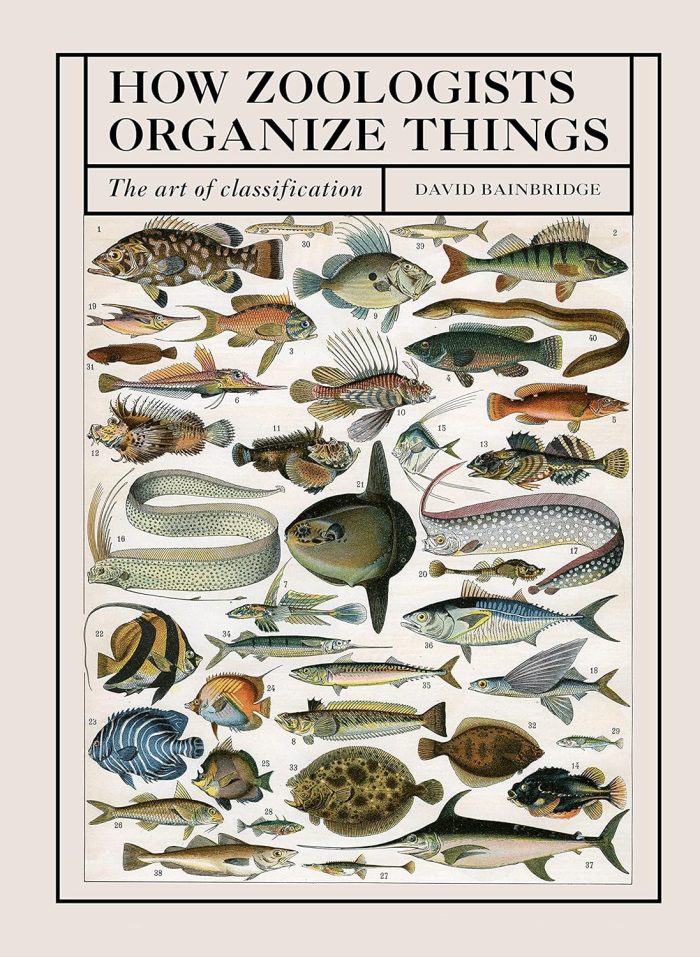 How Zoologists Organize Things: The Art of Classification How Zoologists Organize Things: The Art of Classification