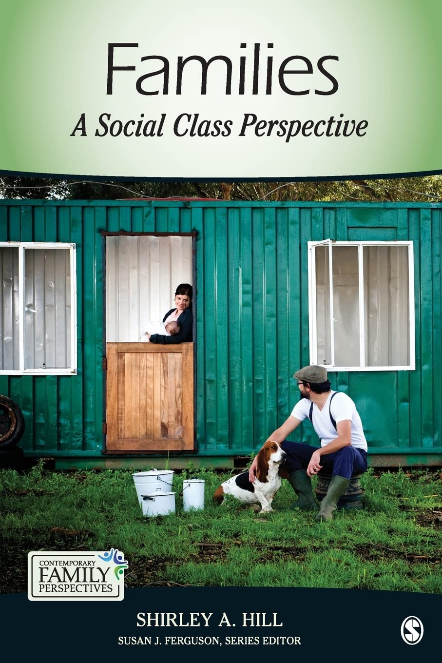 Families A Social Class Perspective