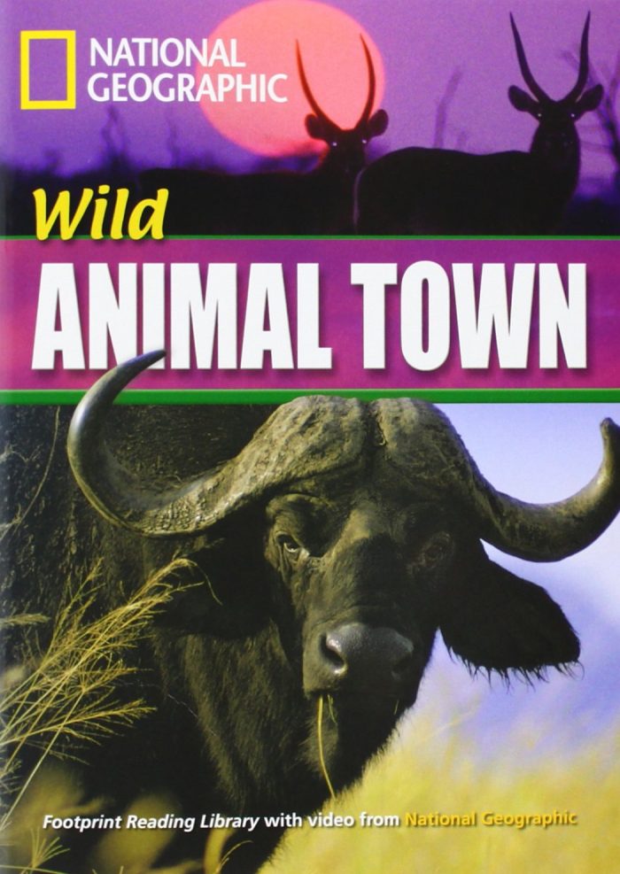NGR Wild Animal Town B1 + DVD NGR Wild Animal Town B1 + DVD