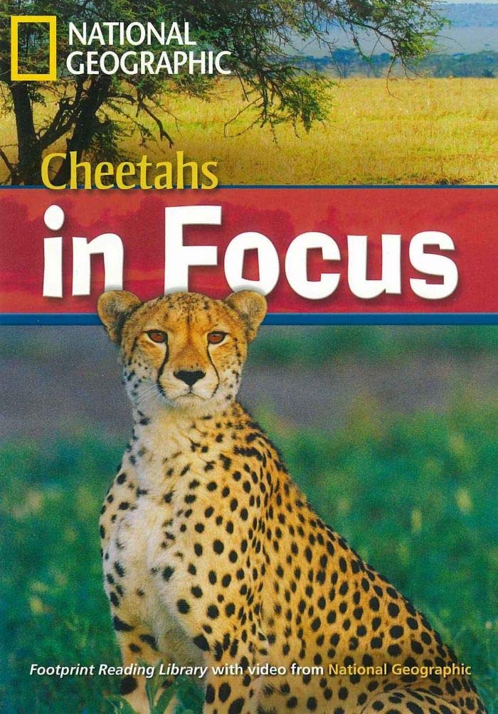 NGR Cheetahs in Focus B2 (+ DVD)