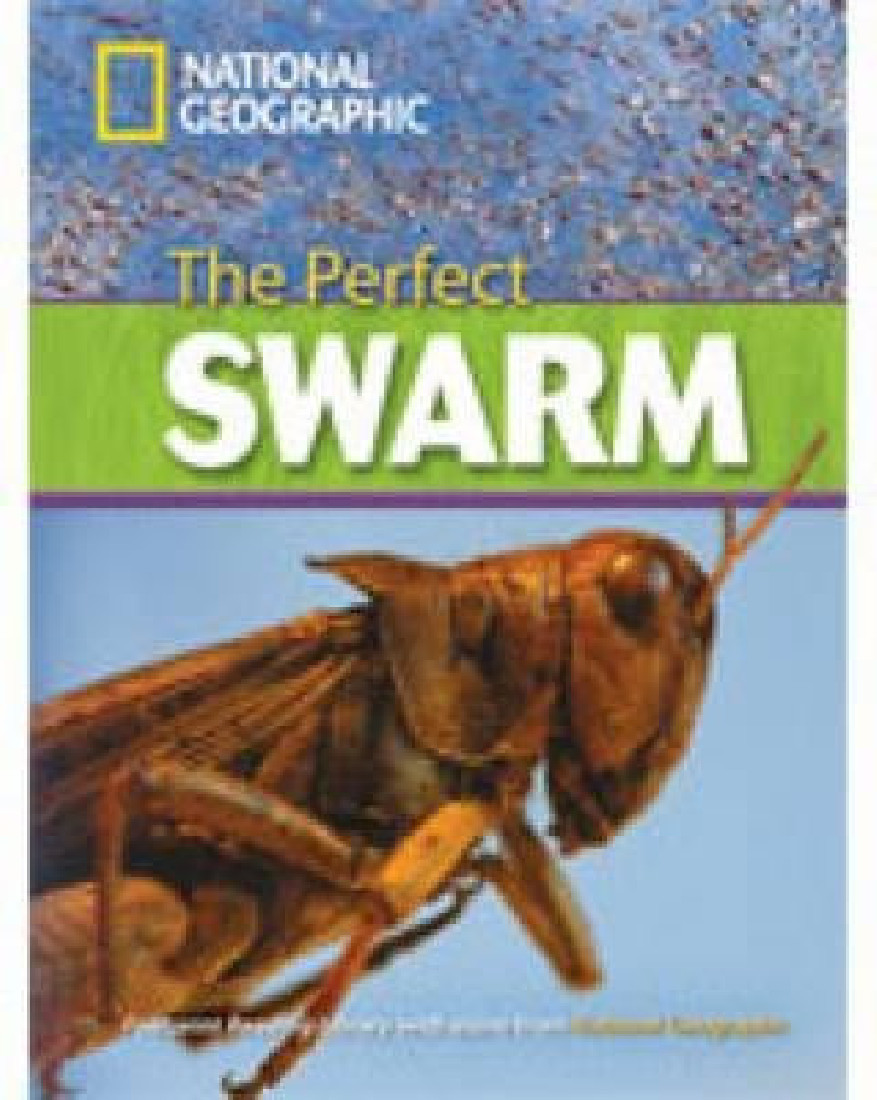 NGR The Perfect Swarm C1 + DVD
