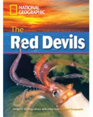 NGR The Red Devils C1 + DVD