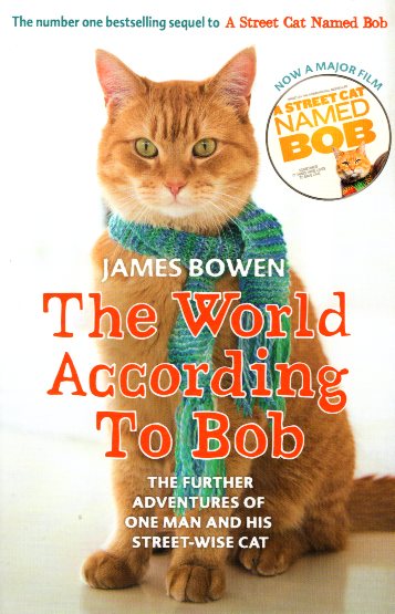 The World according to Bob