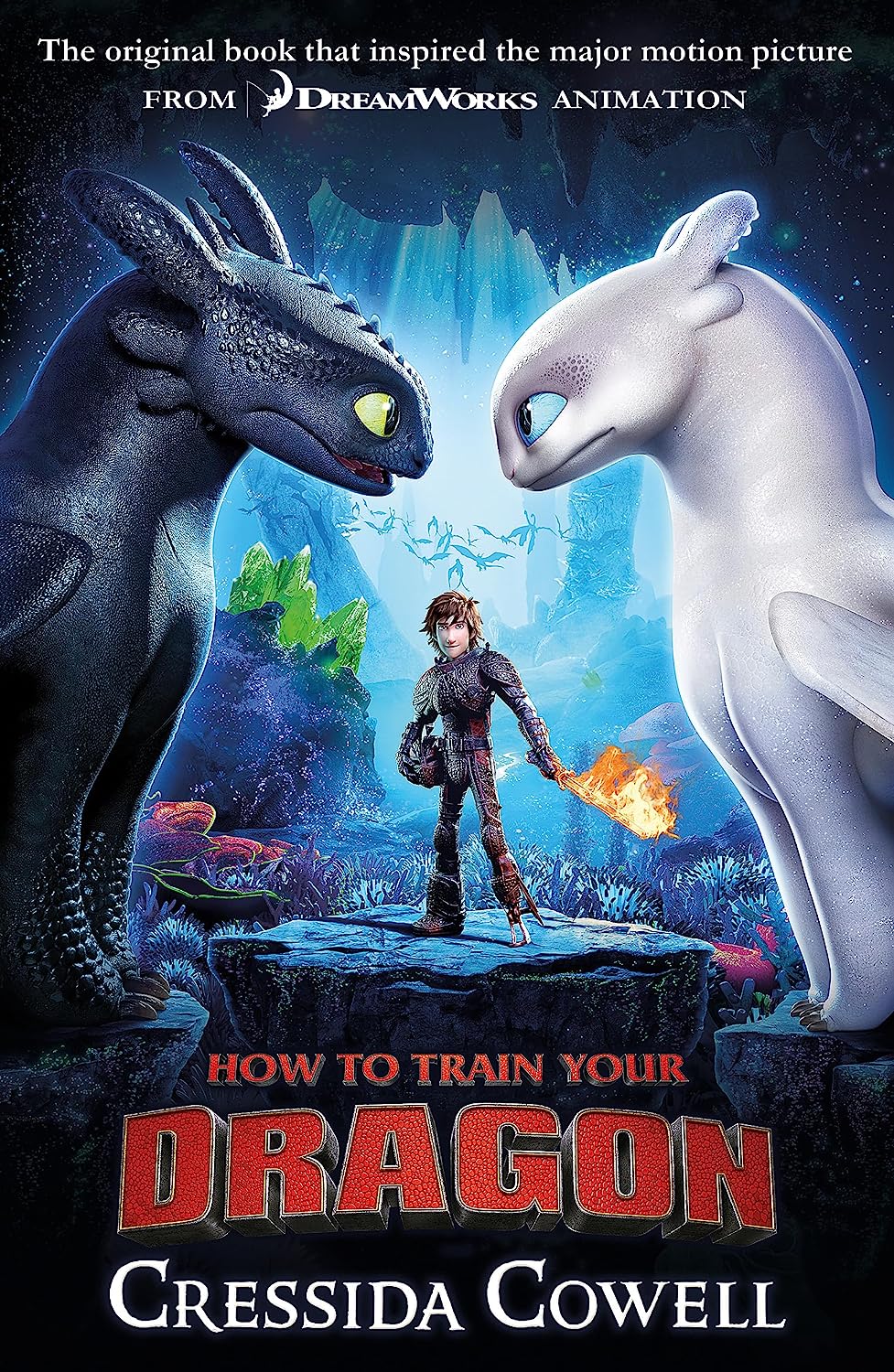 How to Train Your Dragon - Papeback