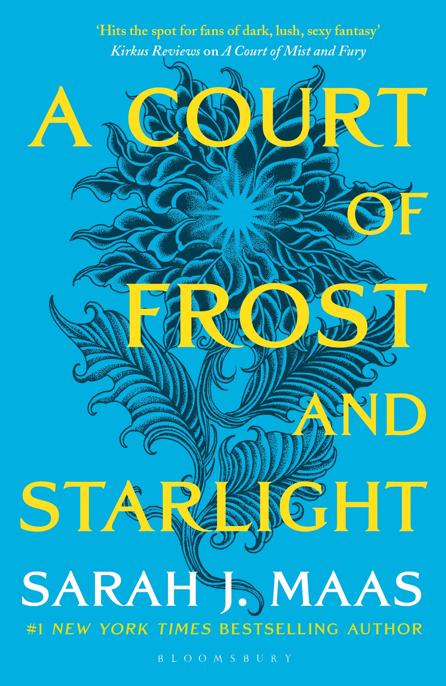 Court Of Frost and Starlight