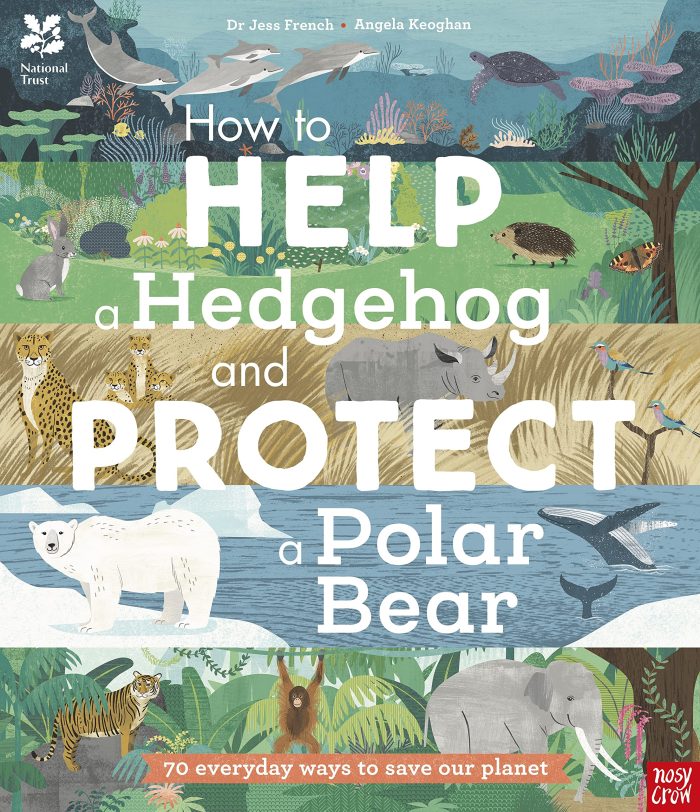 How to help a hedgehog and protect a polar bear How to help a hedgehog and protect a polar bear