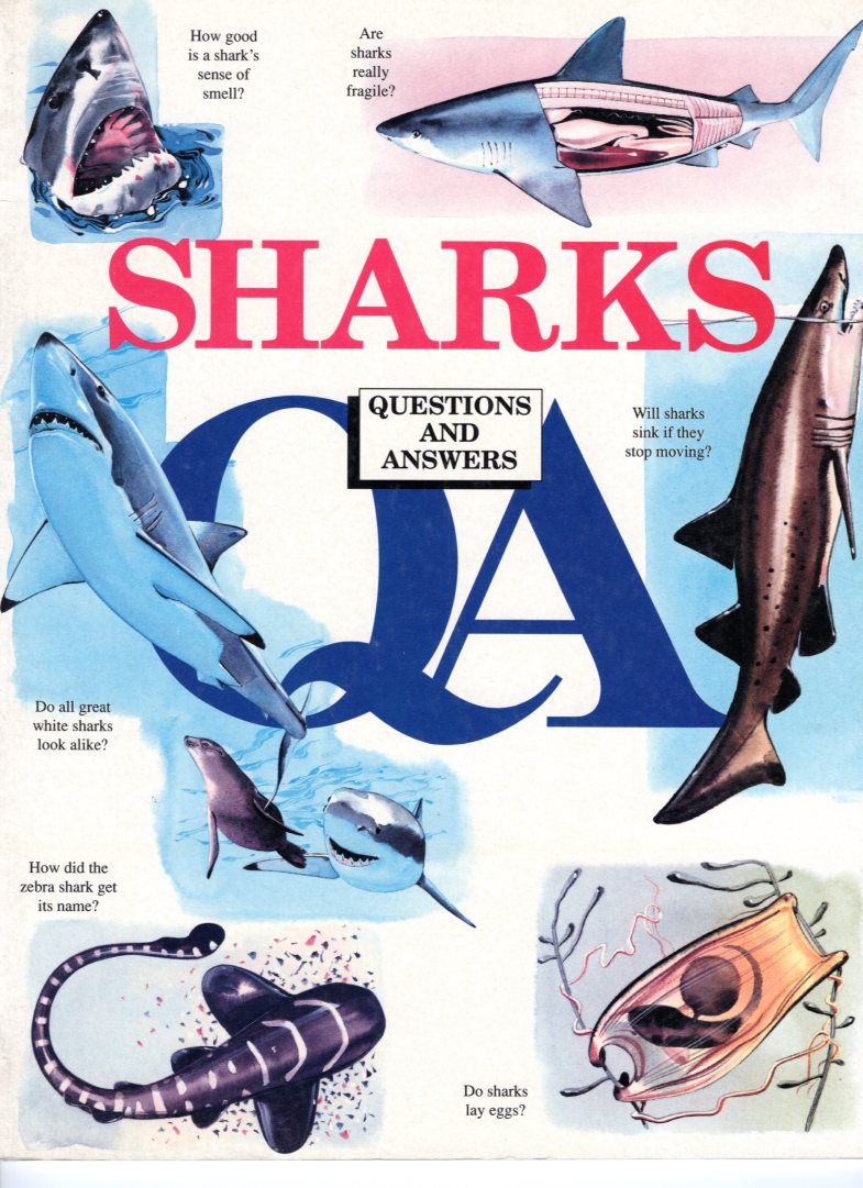 Sharks Questions & Answers