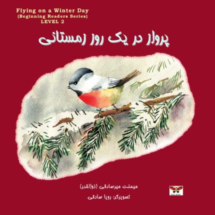 Flying on a Winter Day (LEVEL 2)