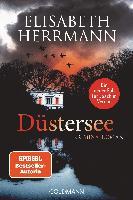 Dustersee