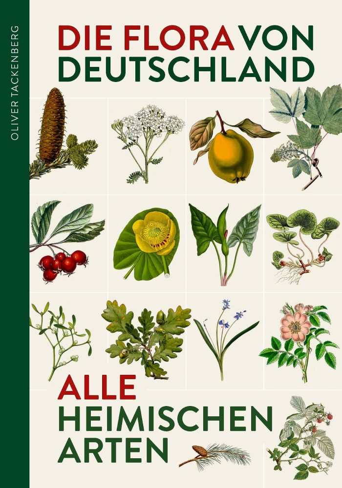 Die Flora von Deutschland. Alle heimischen Arten. Die Flora von Deutschland. Alle heimischen Arten.