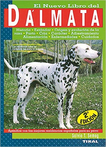 Dalmata