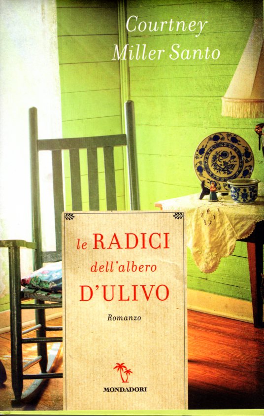 Le radici dell'albero d'ulivo