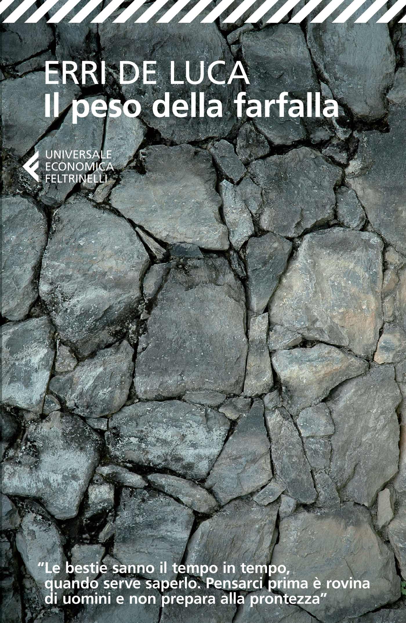 Il peso della farfalle