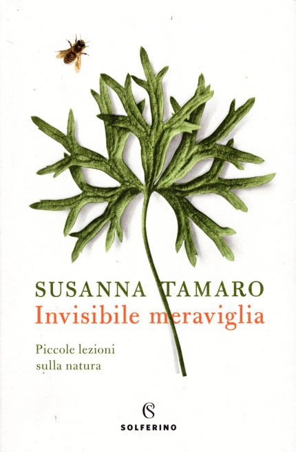 Invisibile Meraviglia
