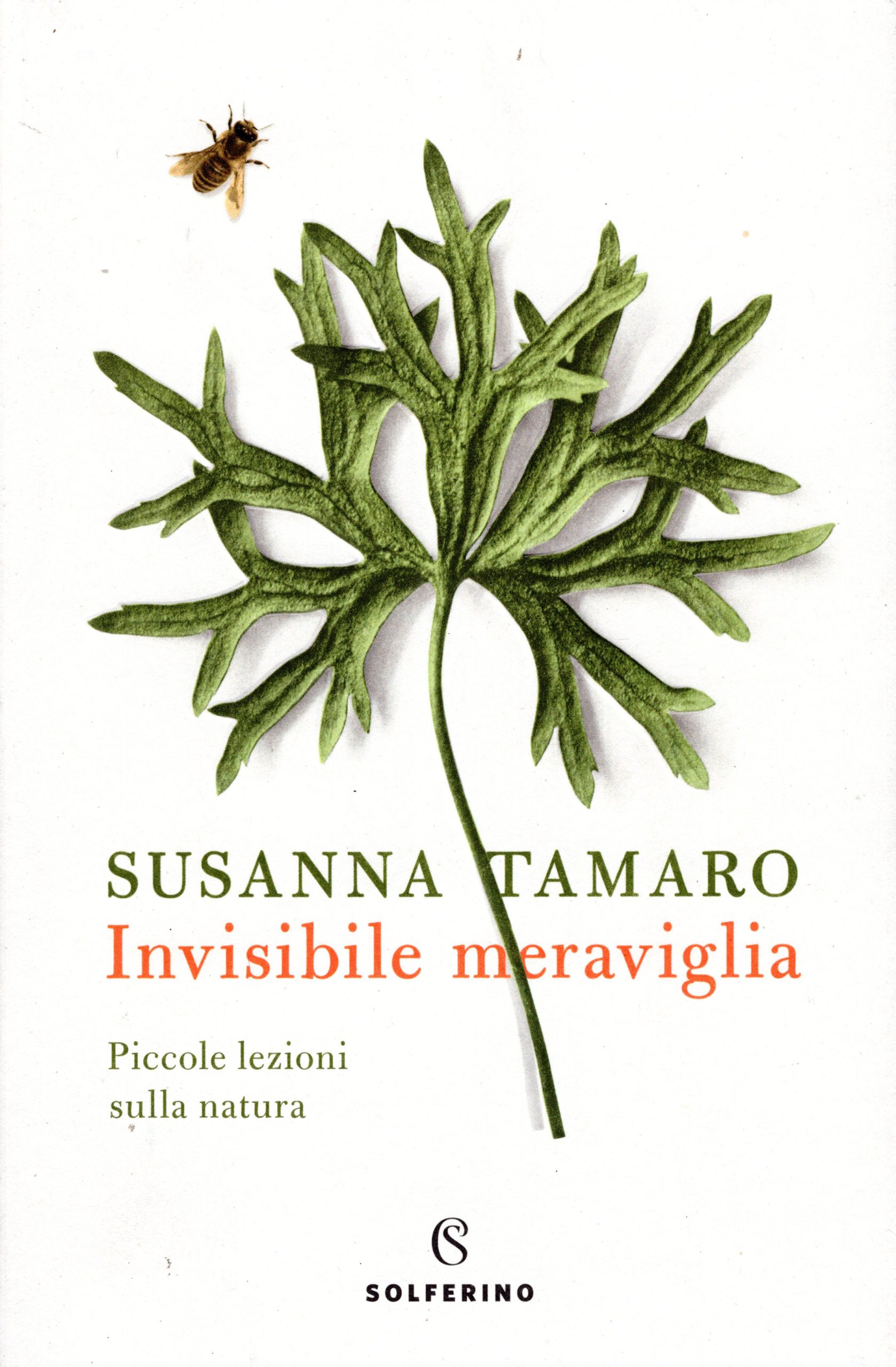 Invisibile Meraviglia