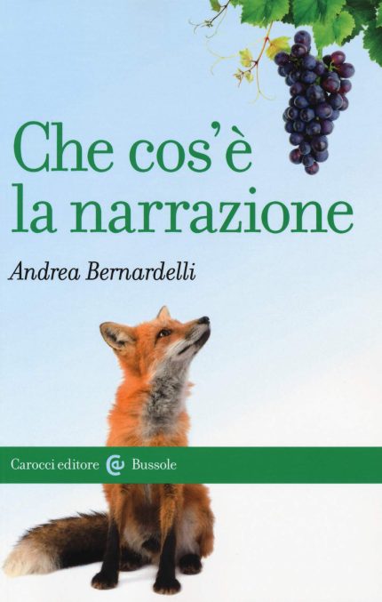 Che Cos' e la Narrazione