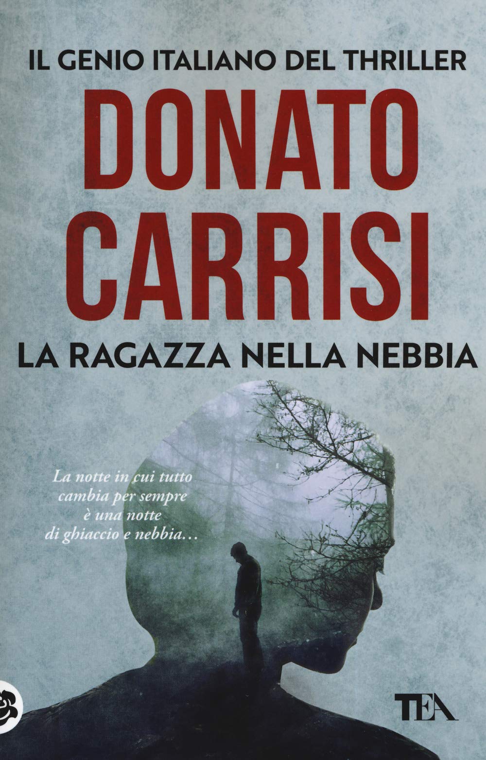 La Ragazza nella Nebbia