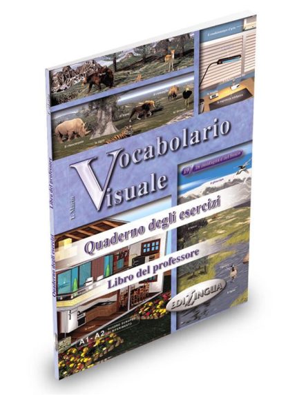 VOCABOLARIO VISUALE ESERCIZI PROFESSORE