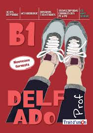 DELF ADO B1 professeur + cd nouveaux format