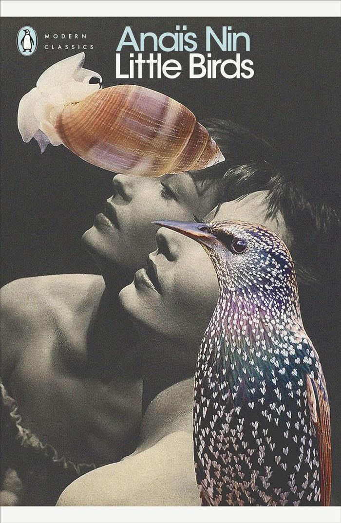 Little Birds Little Birds