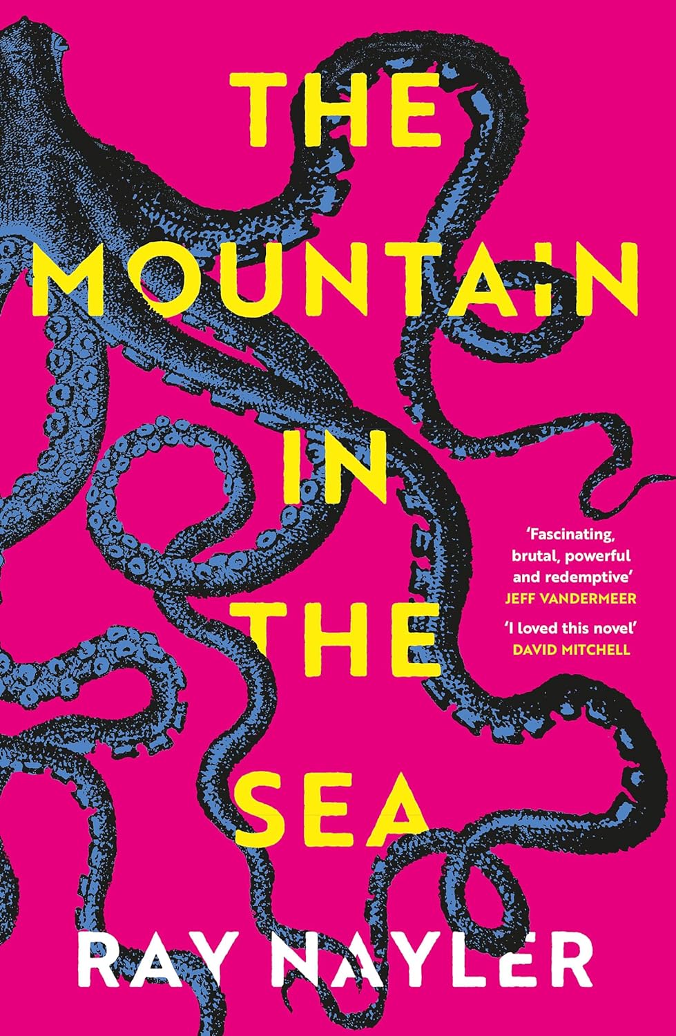 The Mountain in the Sea