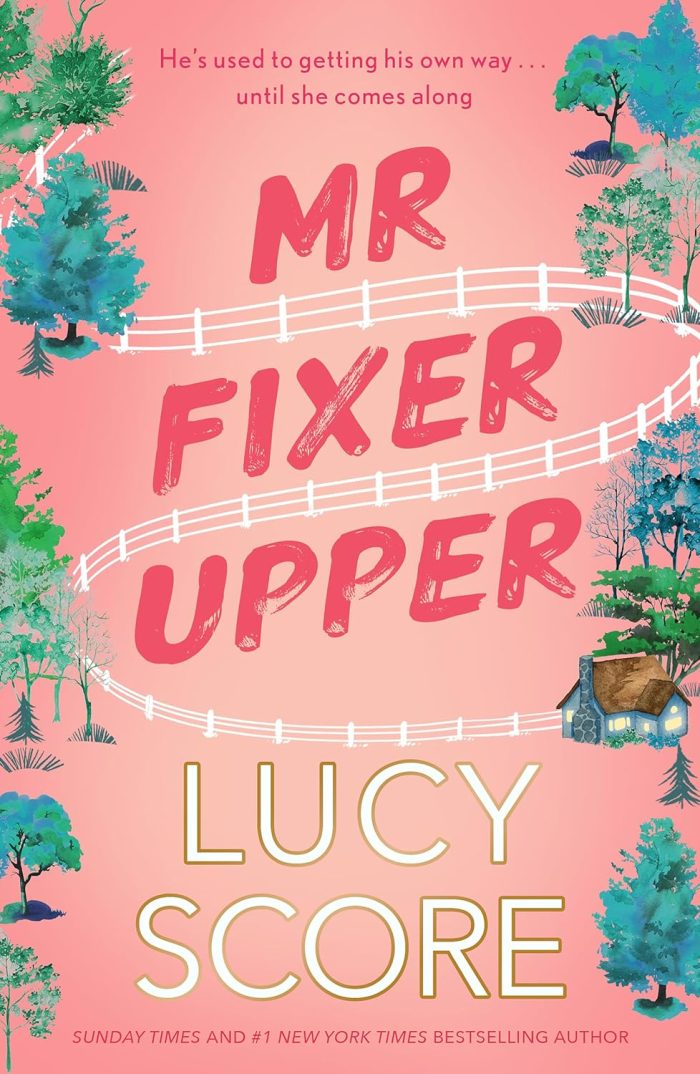 Mr Fixer Upper Mr Fixer Upper