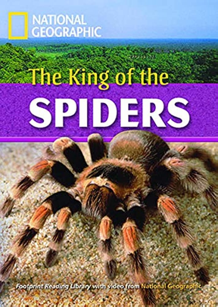 NGR The King of the Spiders C1 + DVD NGR The King of the Spiders C1 + DVD