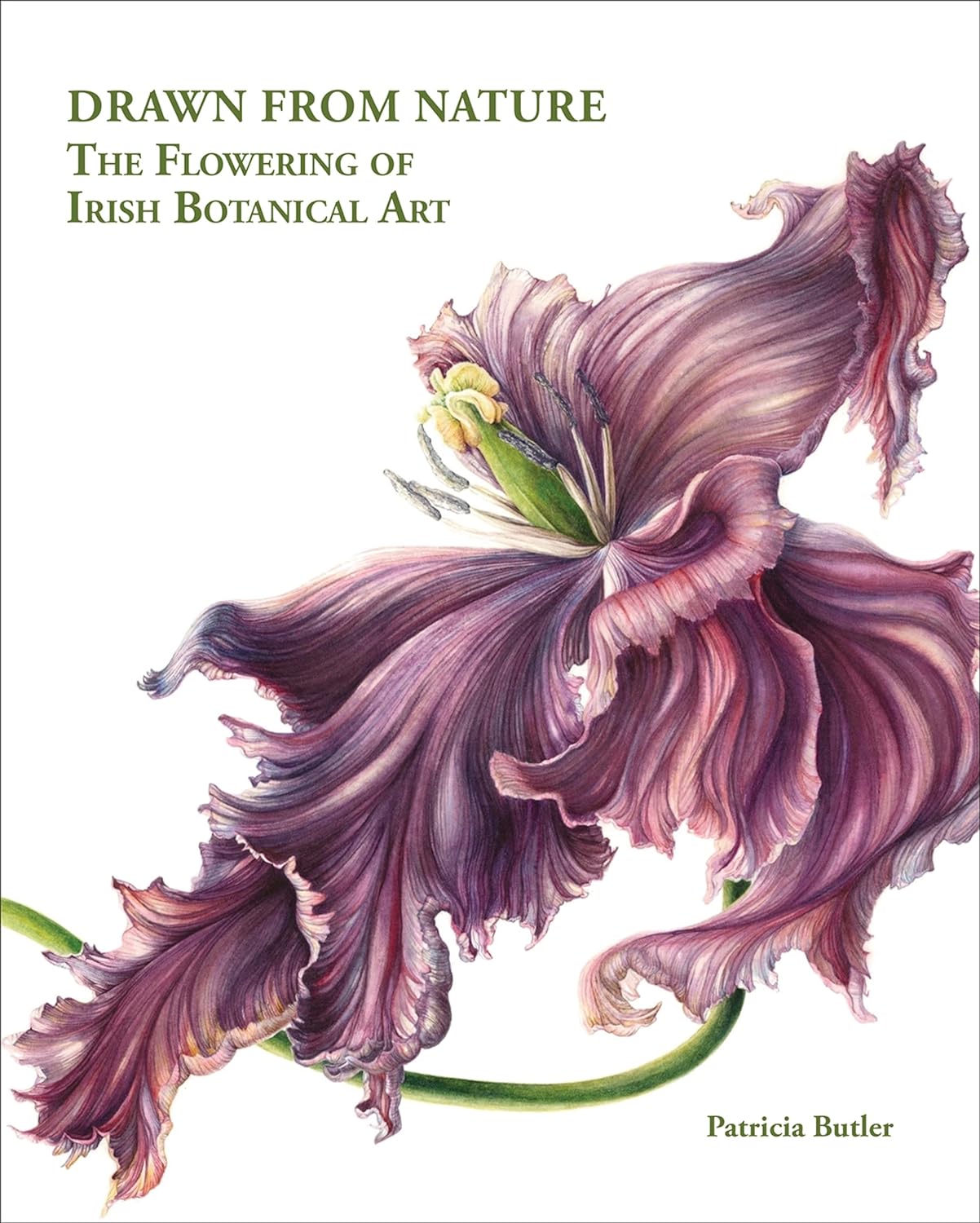 Drawn From Nature The Flowering of Irish Botanical Art