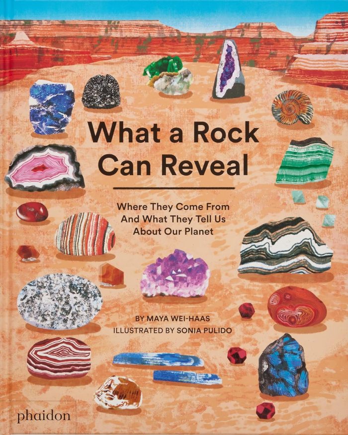 What a Rock Can Reveal: Where They Come From And What They Tell Us About Our Planet What a Rock Can Reveal: Where They Come From And What They Tell Us About Our Planet