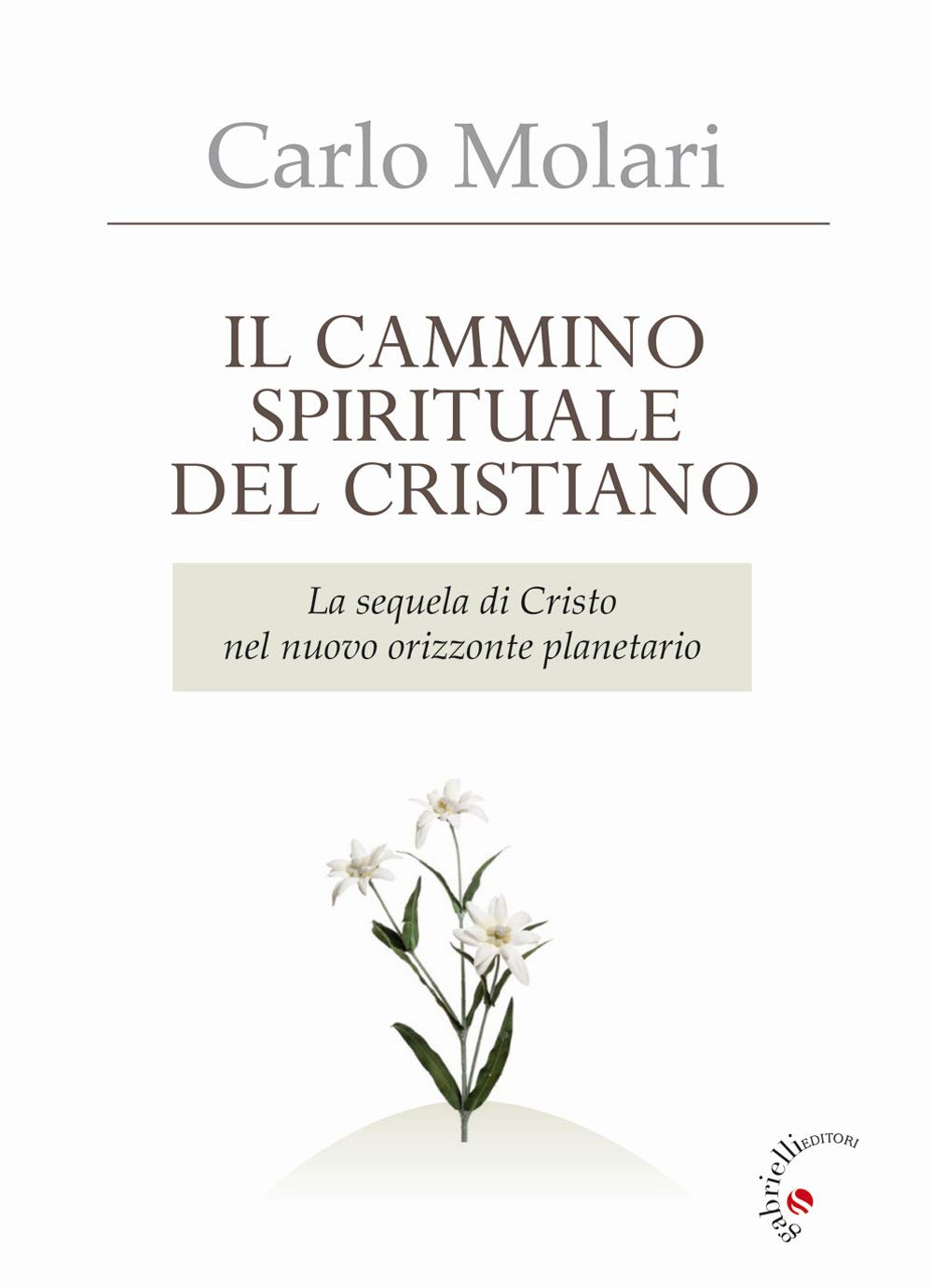 Il Cammino spirituale del cristiano
