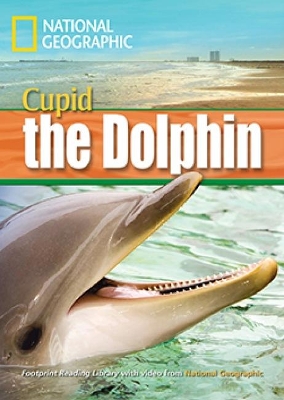 FRL 4: A DOLPHIN NAMED CUPID - NATIONAL GEOGRAPHIC-ROB WARIN