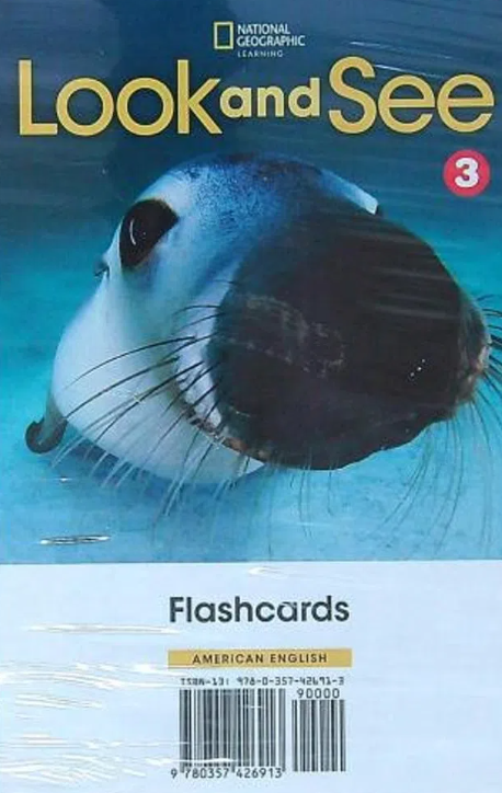 LOOK AND SEE LEVEL 3 AME FLASHCARDS - SUSANNAH REED