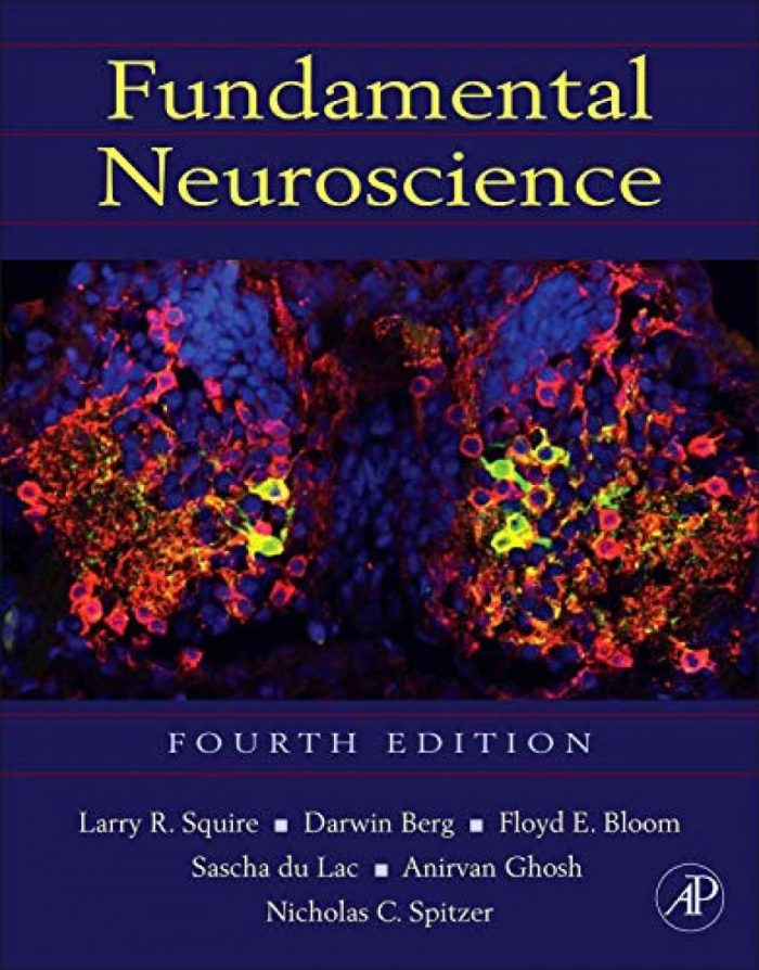Fundamental Neuroscience Fundamental Neuroscience
