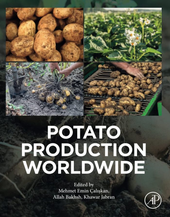 Potato Production Worldwide Potato Production Worldwide